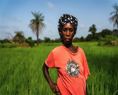 女性备孕需要吃什么营养品吗？      不少人都认为，在备孕...